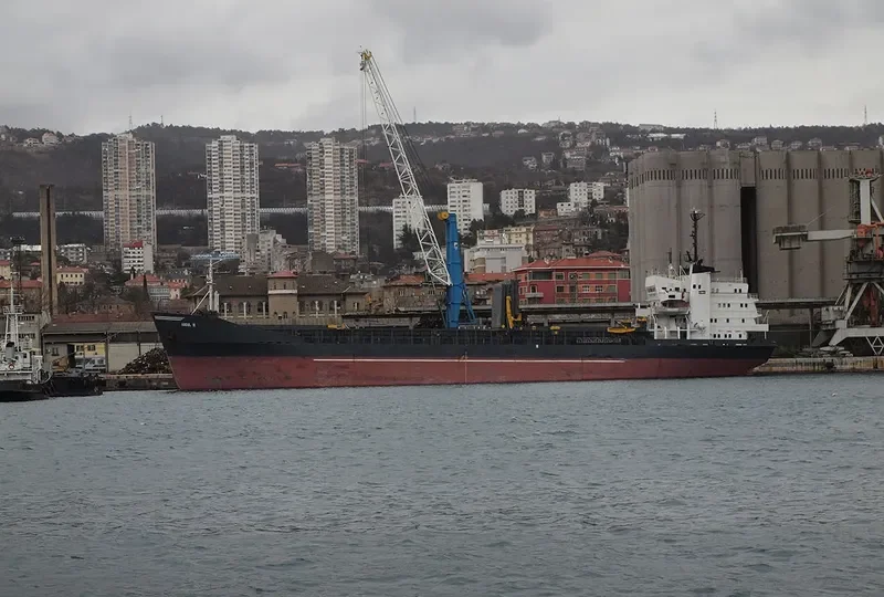 AK DENISA Bulk Carrier IMO 7116781 photo 2