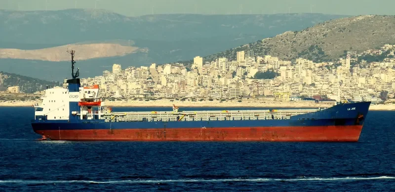 MAYMONA General Cargo IMO 7116793 photo 7