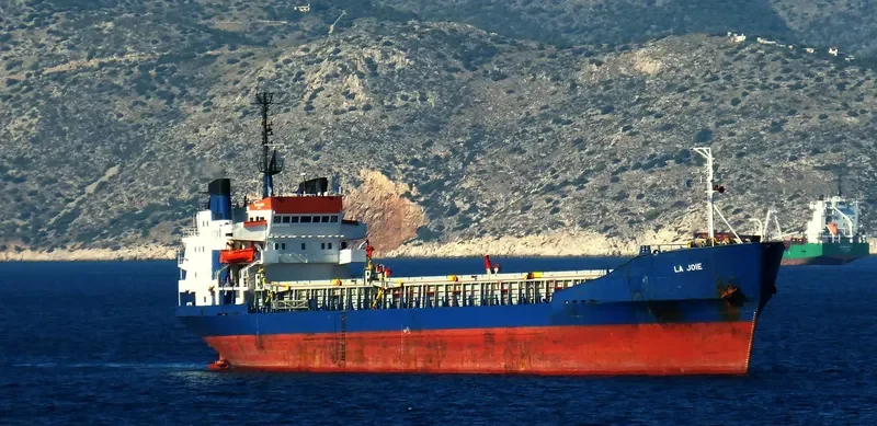 MAYMONA General Cargo IMO 7116793 photo 8