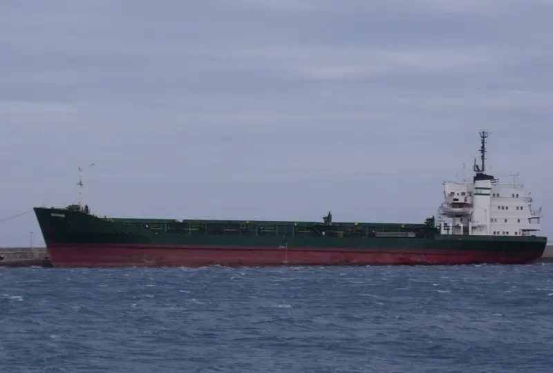 SERENADE Bulk Carrier IMO 7116860 photo 3
