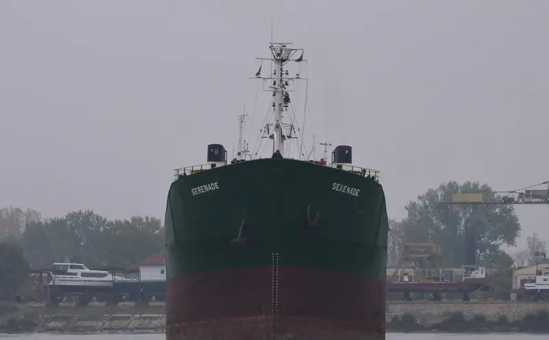 SERENADE Bulk Carrier IMO 7116860 photo 4