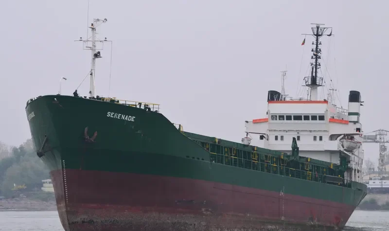 SERENADE Bulk Carrier IMO 7116860 photo 5