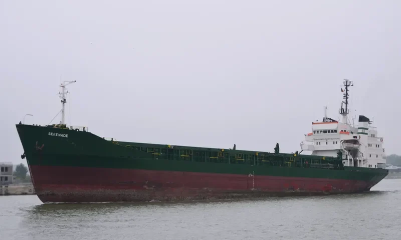 SERENADE Bulk Carrier IMO 7116860 photo 6
