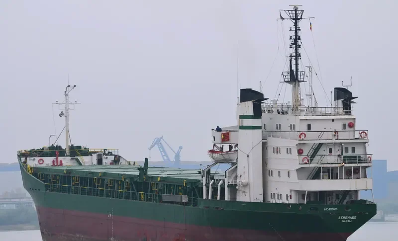 SERENADE Bulk Carrier IMO 7116860 photo 7