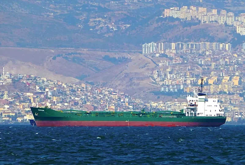 SERENADE Bulk Carrier IMO 7116860 photo 8