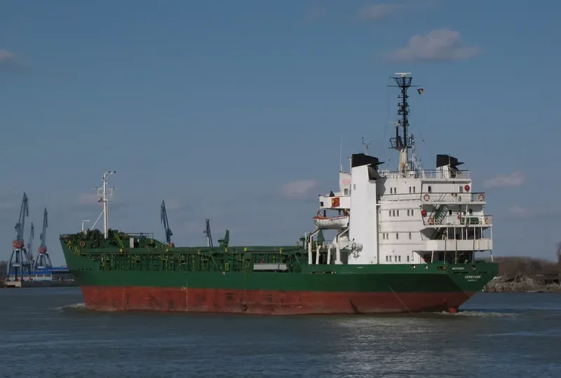 SERENADE Bulk Carrier IMO 7116860 photo 9