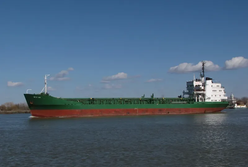 SERENADE Bulk Carrier IMO 7116860 photo 10