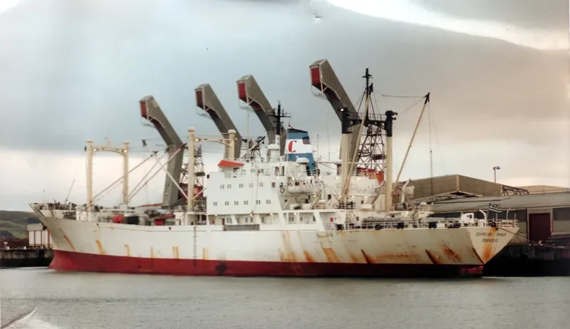 AMAZON REEFER General Cargo IMO 7116949