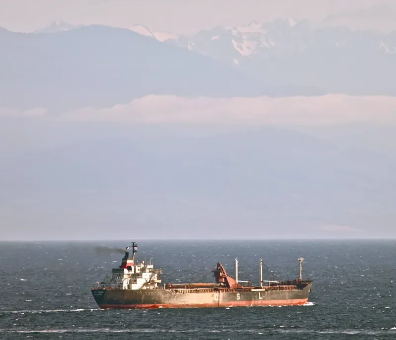 CSL CABO Bulk Carrier IMO 7117278