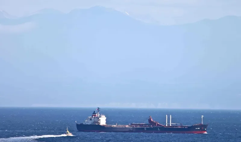 CSL CABO Bulk Carrier IMO 7117278 photo 2