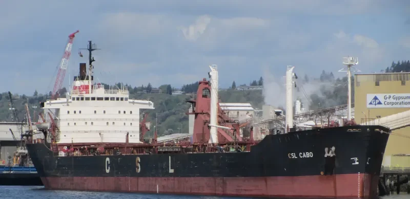 CSL CABO Bulk Carrier IMO 7117278 photo 3