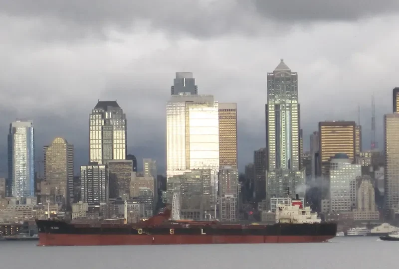 CSL CABO Bulk Carrier IMO 7117278 photo 4