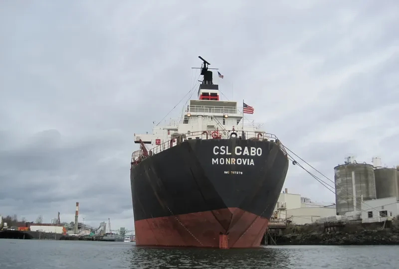 CSL CABO Bulk Carrier IMO 7117278 photo 5