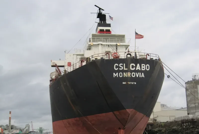 CSL CABO Bulk Carrier IMO 7117278 photo 6