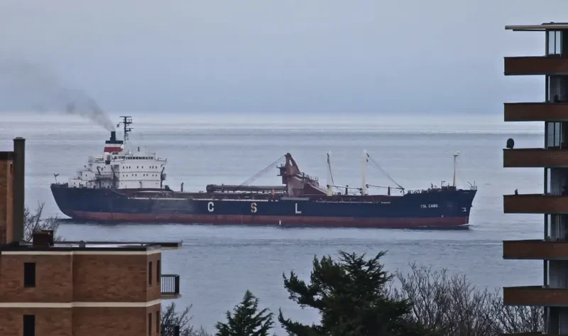 CSL CABO Bulk Carrier IMO 7117278 photo 7