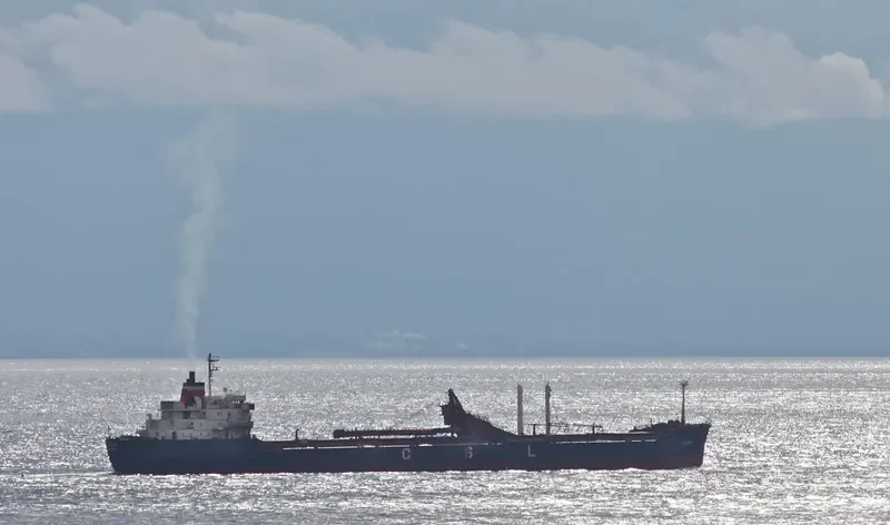 CSL CABO Bulk Carrier IMO 7117278 photo 8