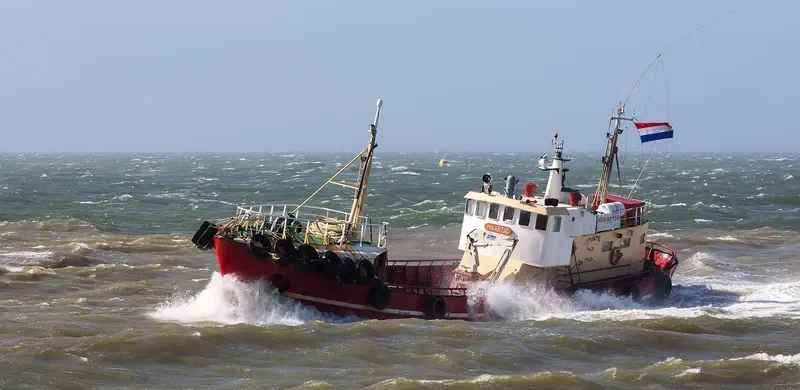 MAARTJE Offshore Supply Vessel IMO 7117400 photo 8