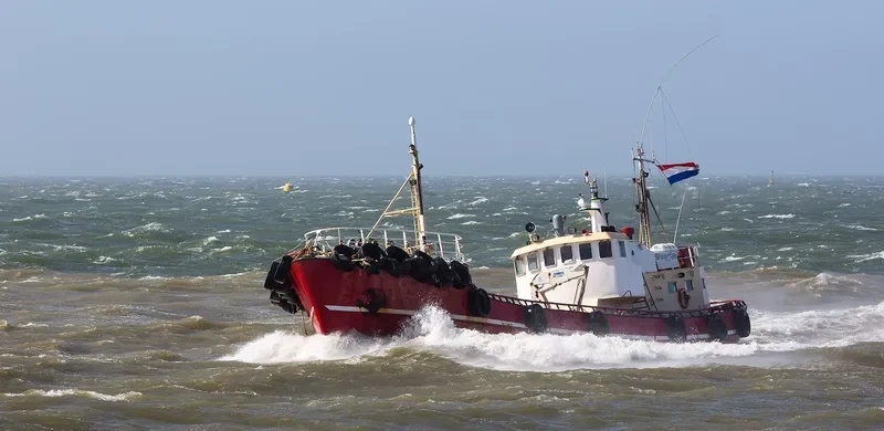 MAARTJE Offshore Supply Vessel IMO 7117400 photo 9