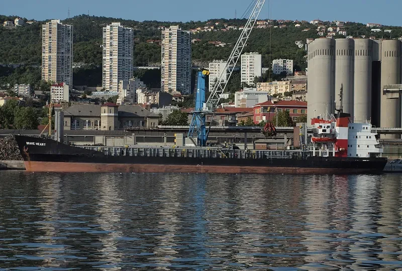 AK BRAVE General Cargo IMO 7117826 photo 2