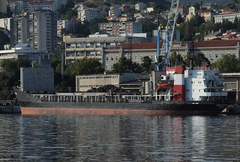 AK BRAVE General Cargo IMO 7117826 photo 3