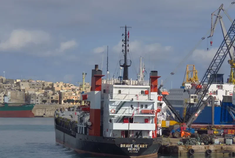 AK BRAVE General Cargo IMO 7117826 photo 5