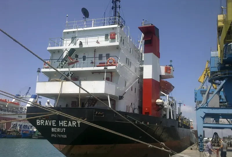 AK BRAVE General Cargo IMO 7117826 photo 8