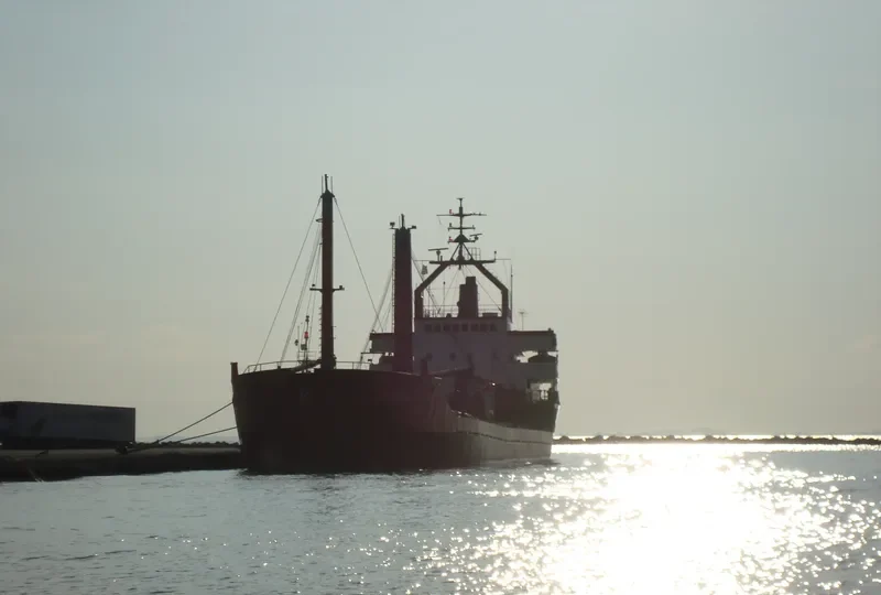 AGIA KIRIAKI General Cargo IMO 7120794 photo 4