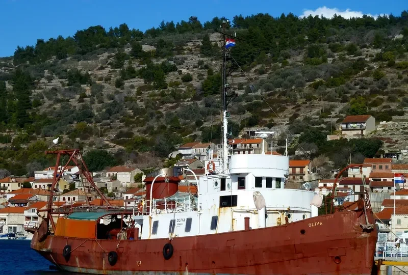 OLIVA Fishing Vessel IMO 7121176 photo 3