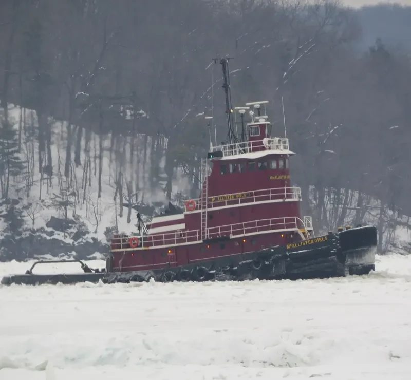 MCALLISTER GIRLS Tug Boat IMO 7121774 photo 2