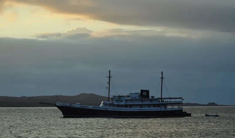 EVOLUTION Passenger Vessel IMO 7122326 photo 3
