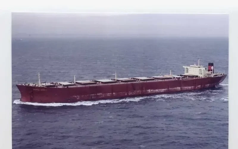 SERENA Bulk Carrier IMO 7122704