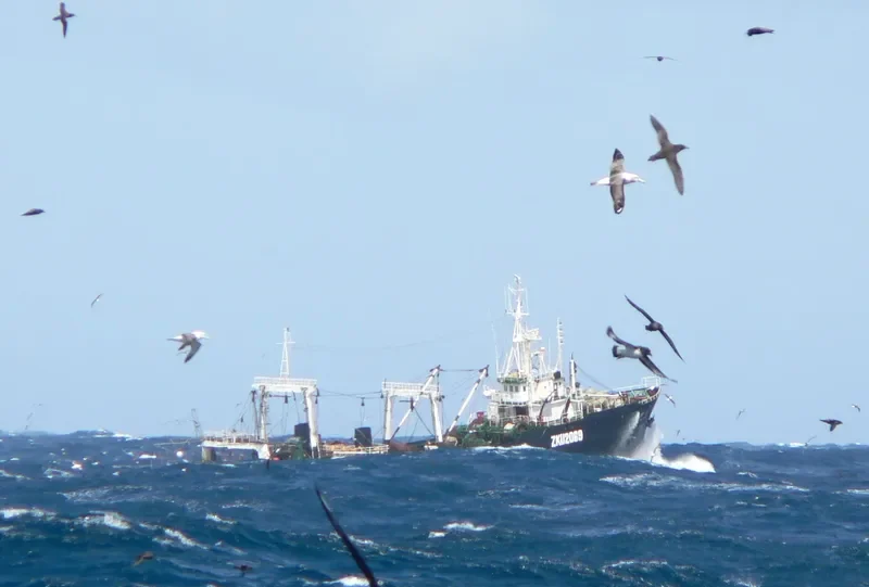 O YANG NO.97 General Cargo IMO 7123693