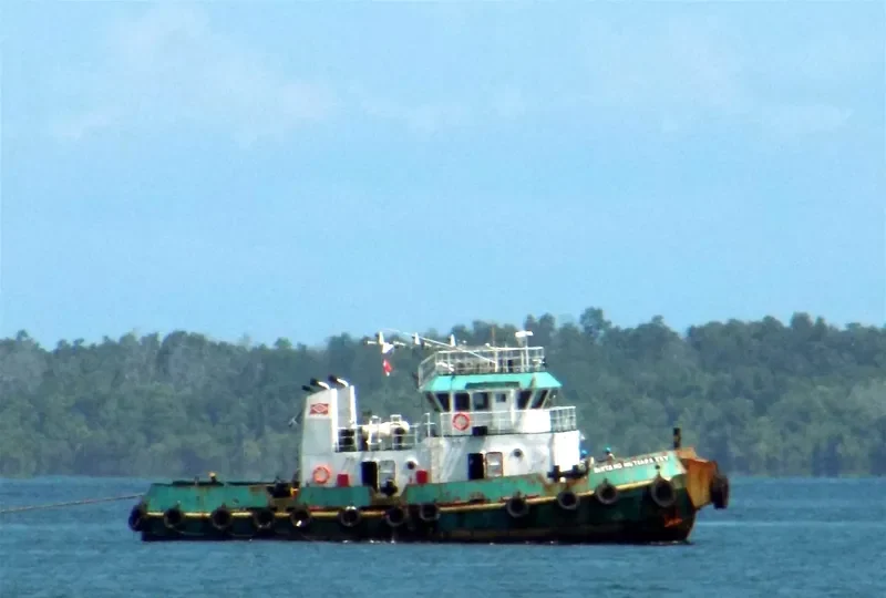 BINTANG MUTIARA XX General Cargo IMO 7123813 photo 2