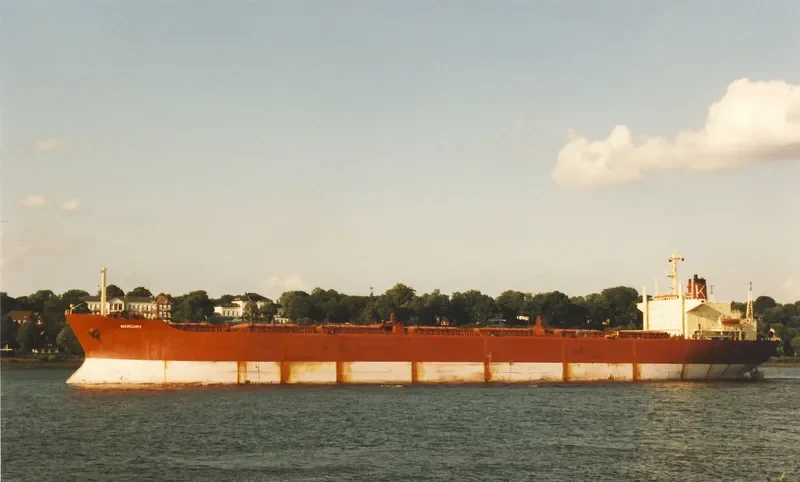 ERINI Bulk Carrier IMO 7124180