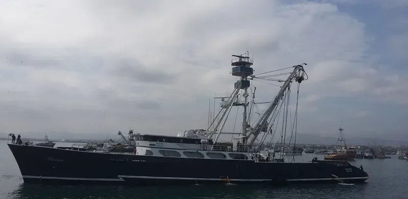 ADRIANA General Cargo IMO 7124697