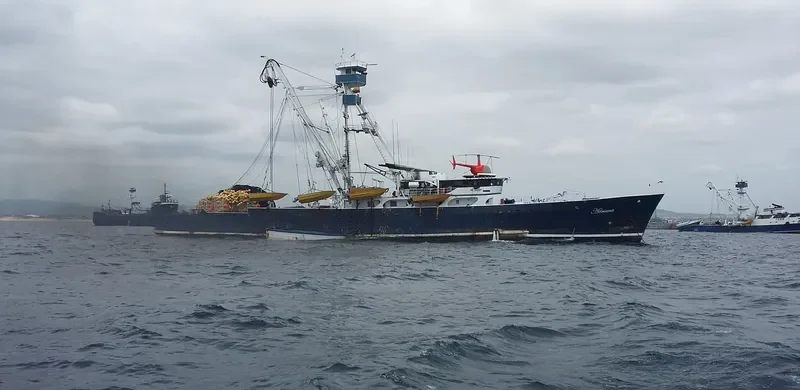 ADRIANA General Cargo IMO 7124697 photo 3