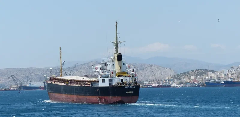 FROSINA General Cargo IMO 7125196 photo 2