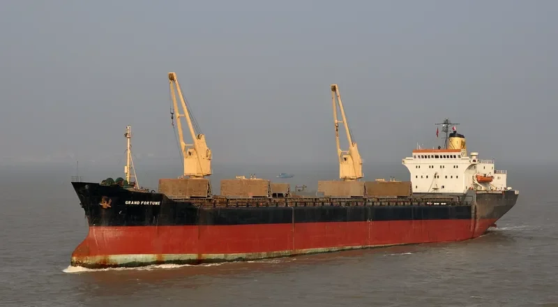 GRAND FORTUNE Bulk Carrier IMO 7125615 photo 2