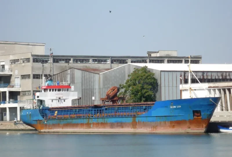 OCEAN LION General Cargo IMO 7126358 photo 2