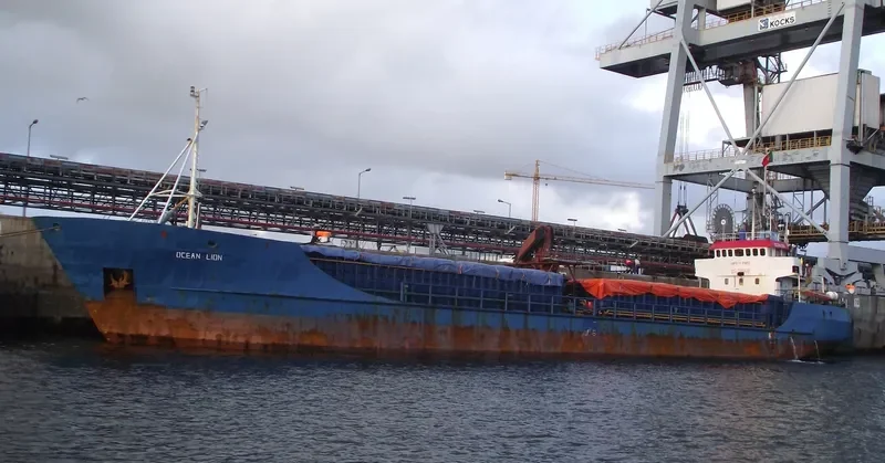 OCEAN LION General Cargo IMO 7126358 photo 3