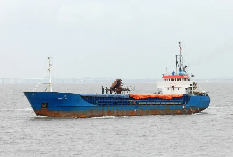 OCEAN LION General Cargo IMO 7126358 photo 4