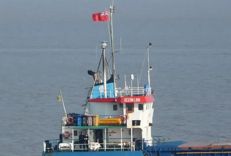 OCEAN LION General Cargo IMO 7126358 photo 6