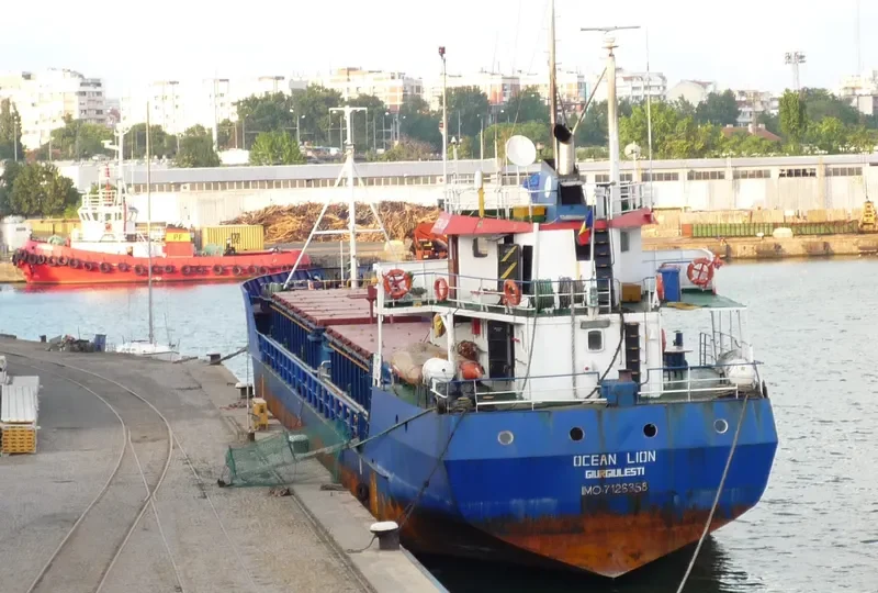 OCEAN LION General Cargo IMO 7126358 photo 8