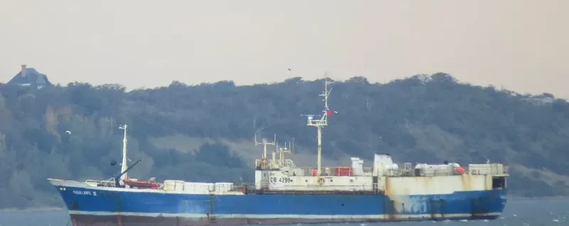 MAGALLANES III General Cargo IMO 7126592 photo 2