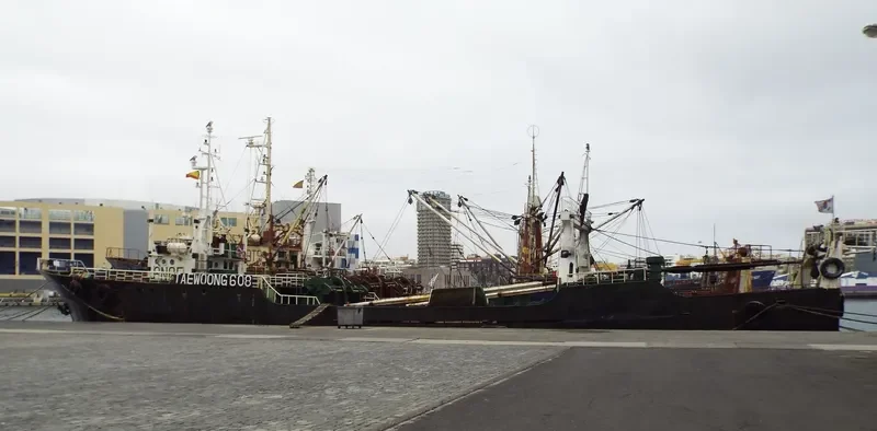 608 TAEWOONG General Cargo IMO 7127091 photo 2
