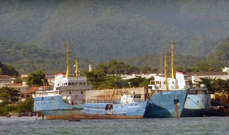 NATAL General Cargo IMO 7127572
