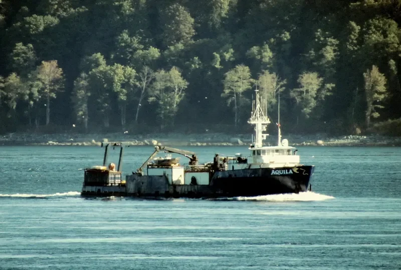AQUILA Fishing Vessel IMO 7127704 photo 9