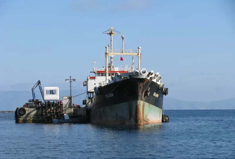 VICTORY General Cargo IMO 7128227 photo 9
