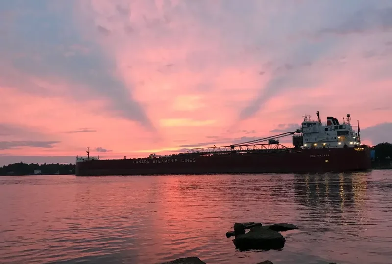 CSL NIAGARA Bulk Carrier IMO 7128423 photo 2