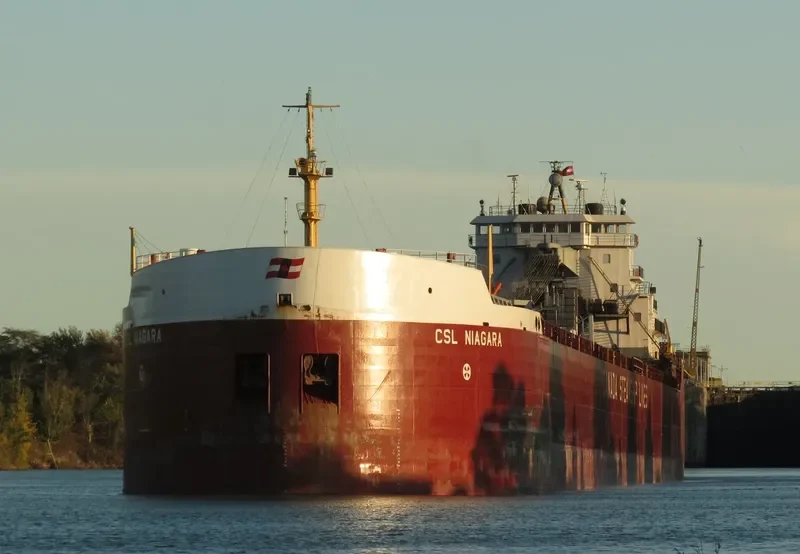 CSL NIAGARA Bulk Carrier IMO 7128423 photo 3